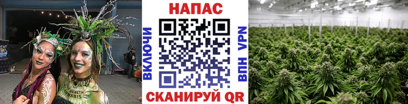 Как найти закладки Светлоград Гашиш  Альфа ПВП  Кокаин  МЕТАДОН  Марихуана  КЕТАМИН  Меф мяу мяу 