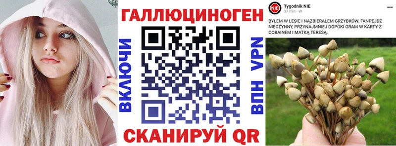 Псилоцибиновые грибы мухоморы  Светлоград 