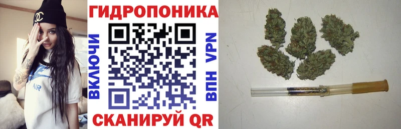 закладки Светлоград Марихуана планчик